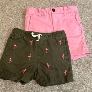 Kids Flamingo Embroidered Shorts - Green and Pink
